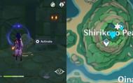 The perch's location on the map (Image via Genshin Impact)